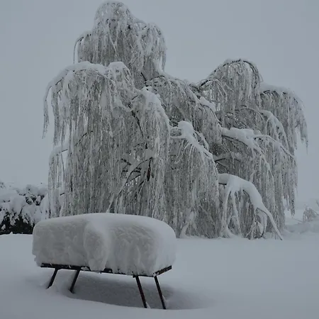 Dom wakacyjny Casa El Corral Fuentespalda